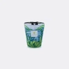Baobab Collection Candlelight And Scents Multicolor Uni In Multicolor