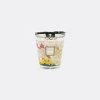 Baobab Collection Candlelight And Scents Multicolor Uni In Multicolor