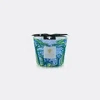 Baobab Collection Candlelight And Scents Multicolor Uni In Multicolor