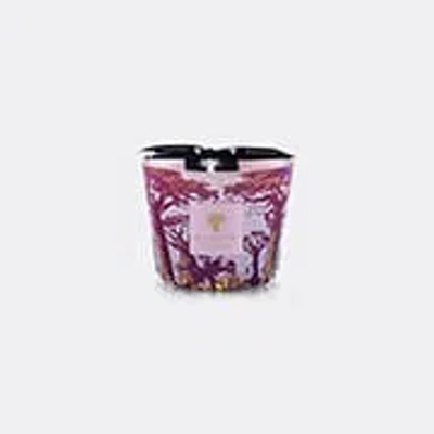 Baobab Collection Candlelight And Scents Violet Uni In Multi