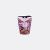 Baobab Collection Candlelight And Scents Violet Uni In Violet