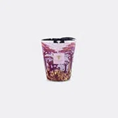 Baobab Collection Candlelight And Scents Violet Uni In Multi