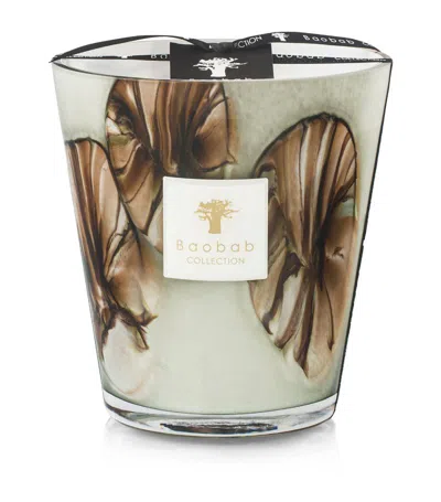Baobab Collection Ceramic Oceania Anangu Candle (2.3kg) In Grey