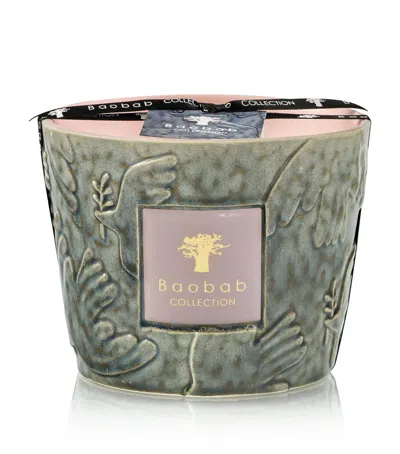 Baobab Collection Colombe Scented Candle In Green