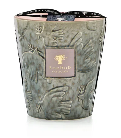 Baobab Collection Colombe Scented Candle In Green
