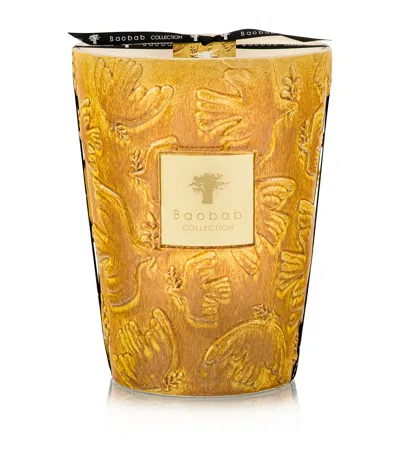 Baobab Collection Dove Scented Candle In Gold