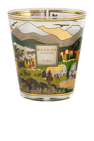 Baobab Collection Far West Signature Candle In Multi