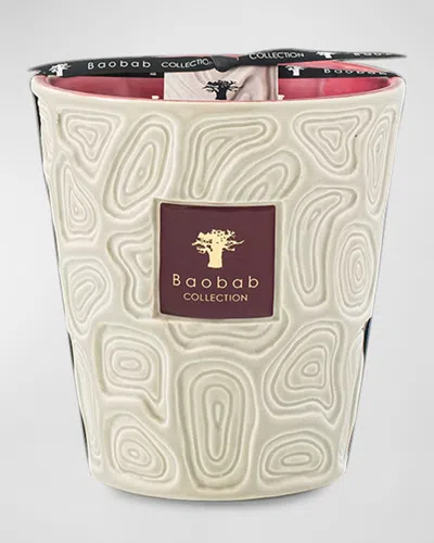 Baobab Collection Ksar El Glaoui 4-wick Max16 Candle, 80 Oz. In Neutral