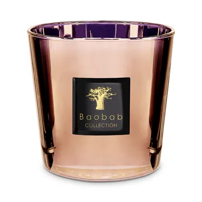 Baobab Collection Max 08 Cyprium Candle