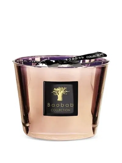 Baobab Collection Max 08 Les Exclusives Cyprium Candles In Brown