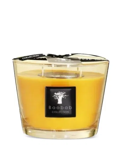 Baobab Collection Max 10 All Seasons Zanzibar Spices Candle In Yellow