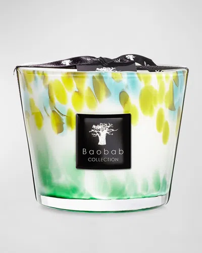 Baobab Collection Max 10 Eden Forest Scented Candle In Multi