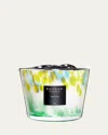 Baobab Collection Max 10 Eden Forest Scented Candle In Multi