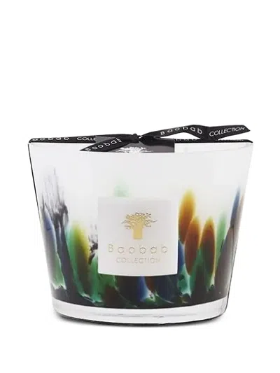 Baobab Collection Max 10 Rainforest Amazonia Candles In Multi