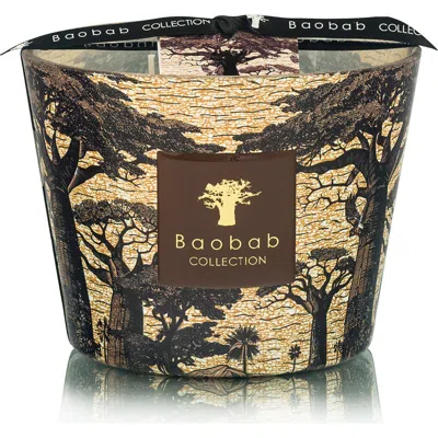 Baobab Collection Max 10 Sacred Trees Mankano Scented Candle In Brown