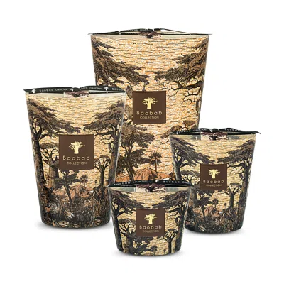 Baobab Collection Max 10 Sacred Trees Mankono Candle, 17.6 Oz.