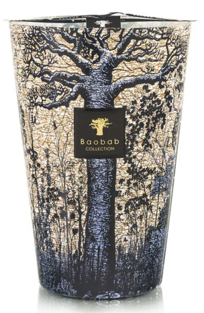 Baobab Collection Max 10 Sacred Trees Séguéla Scented Candle In Sgula
