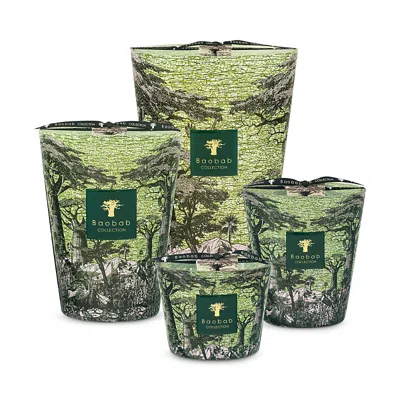 Baobab Collection Max 10 Sacred Trees Touba Candle, 17.6 Oz. In Green