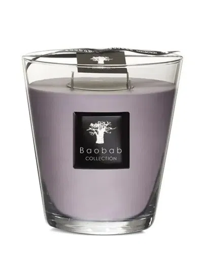 Baobab Collection Max 16 All Seasons White Rhino Candle In Purple