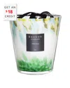 Baobab Collection Max 16 Eden Forest Scented Candle In Multi