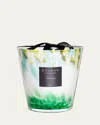 Baobab Collection Max 16 Eden Forest Scented Candle In Multi