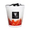 Baobab Collection Max 16 Feathers Maasai Scented Candle
