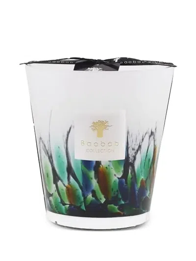 Baobab Collection Max 16 Rainforest Amazonia Candles In White