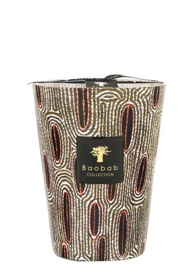 Baobab Collection Max 24 Maxi Wax Panya Candle 5.2kg In Brown