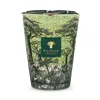 Baobab Collection Max 24 Sacred Trees Touba Candle, 105.76 Oz. In Multi