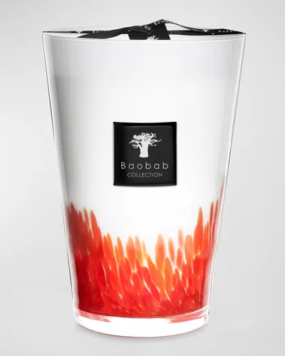 Baobab Collection Max 35 Feathers Maasai Scented Candle In Multi