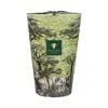 Baobab Collection Max 35 Sacred Trees Touba Candle, 229.12 Oz. In Green