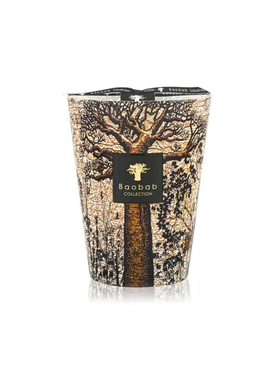 Baobab Collection Max24stm Candle In Brown
