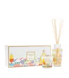 Baobab Collection My First Baobab À Saint-tropez Gift Box
