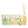 Baobab Collection My First Baobab Miami Candle & Diffuser Set Usd $135 Value