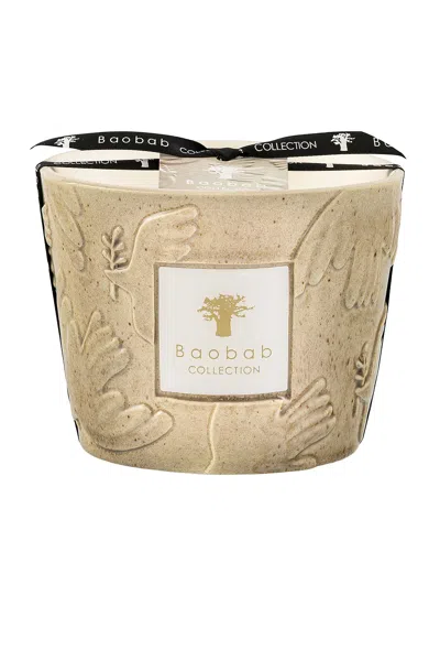 Baobab Collection Paz Paloma Classique Candle In Gold