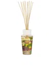 Baobab Collection Provence Diffuser In White