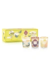Baobab Collection Rio-mexico-miami Travel Candle Trio In Multicolor