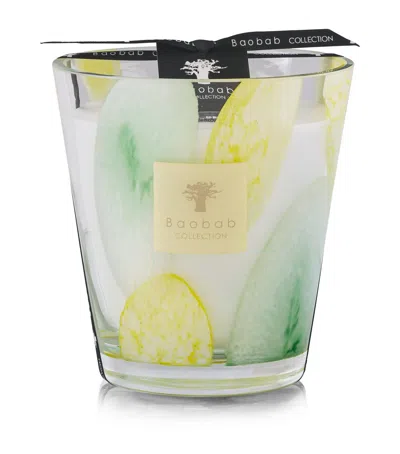 Baobab Collection Riviera Santo Sospir Candle In Green