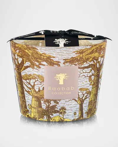 Baobab Collection Sacred Trees Bounkani 4-wick Max 10 Candle, 1.3 Kg In Gold