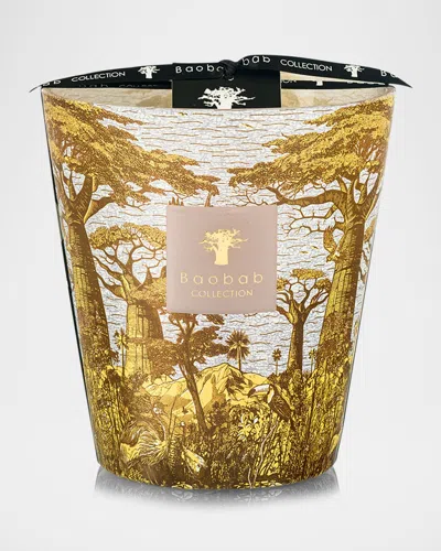 Baobab Collection Sacred Trees Bounkani 4-wick Max 16 Candle, 2.3 Kg In Yellow