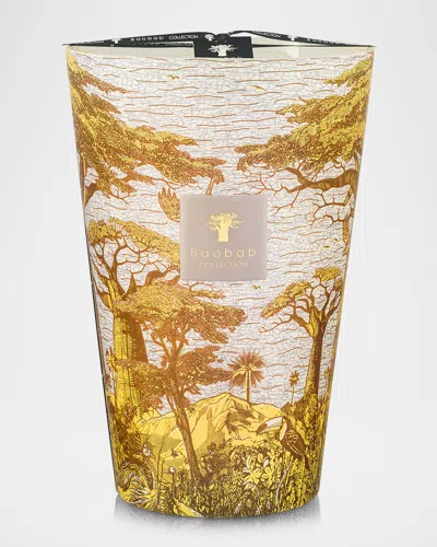 Baobab Collection Sacred Trees Bounkani 7-wick Max 35 Candle, 10.35 Kg In Yellow