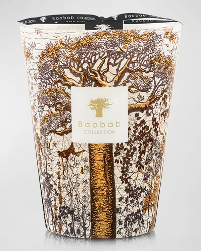 Baobab Collection Sacred Trees Dualla 5-wick Max24 Candle, 176 Oz. In Gold