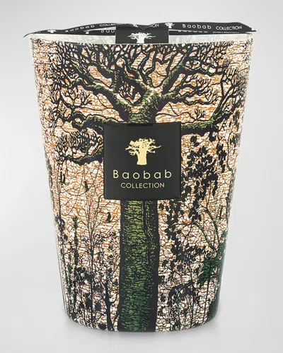 Baobab Collection Sacred Trees Kani 5-wick Max24 Candle, 176.3 Oz.