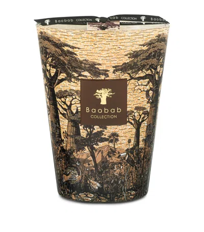 Baobab Collection Sacred Trees Mankono Candle In Brown