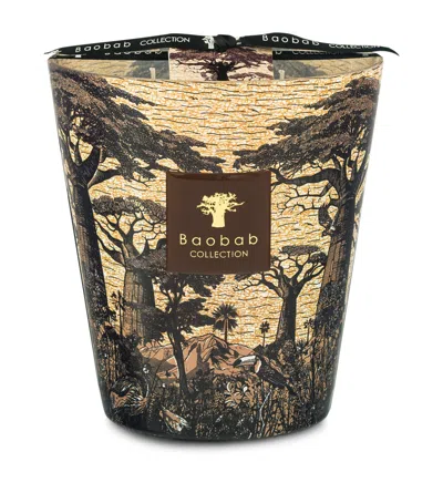 Baobab Collection Sacred Trees Mankono Candle In Brown