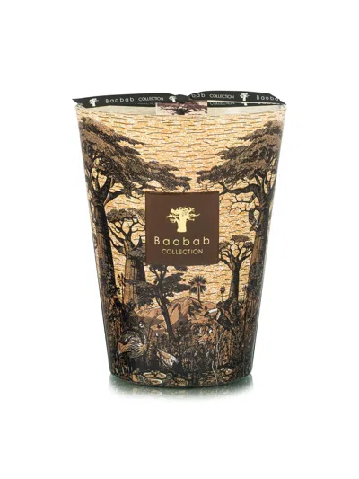 Baobab Collection Sacred Trees Mankono Scented Candle In Brown