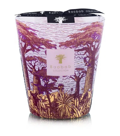 Baobab Collection Sacred Trees Massasso Candle In Red