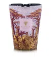 Baobab Collection Sacred Trees Massasso Candle In Red