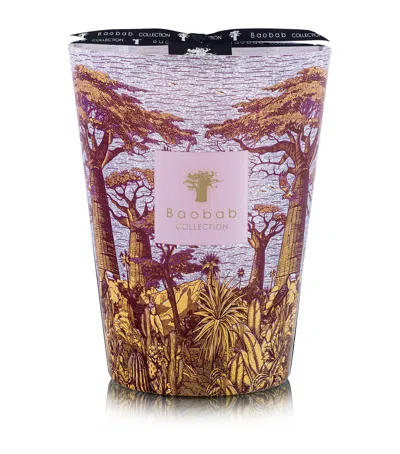 Baobab Collection Sacred Trees Massasso Candle In Red