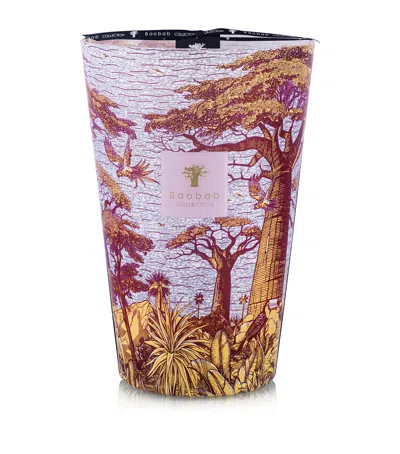 Baobab Collection Sacred Trees Massasso Candle In Red